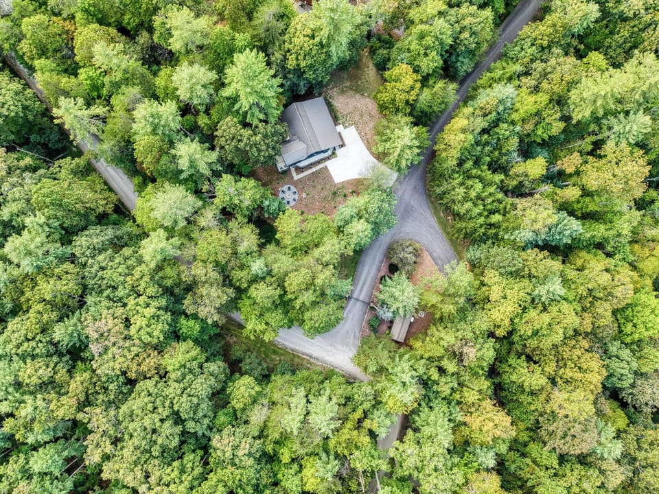 Birdseye's view