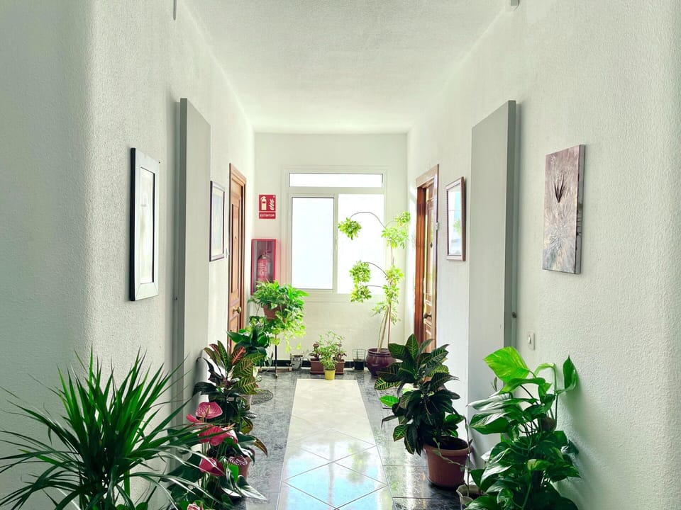 Apartment | Interior