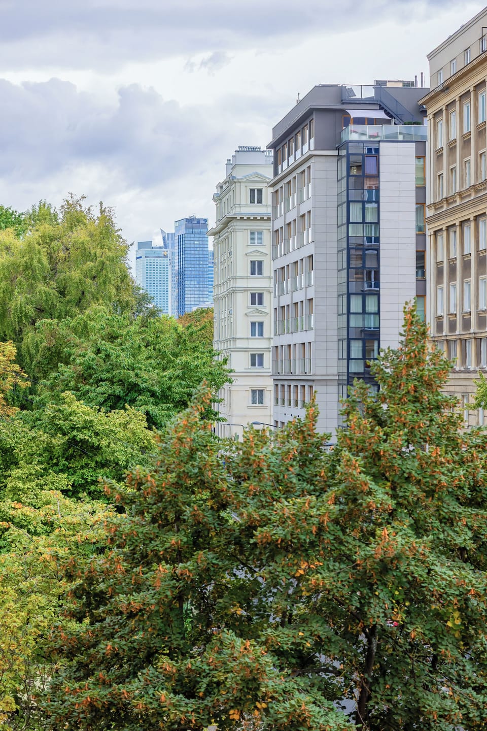 A view of green trees from the outside of the building. The surroundings look calm and leafy, adding a touch of nature.