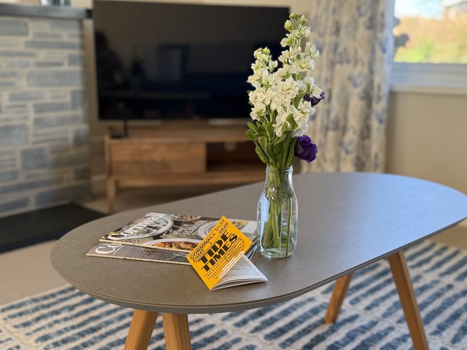Cottage | Television