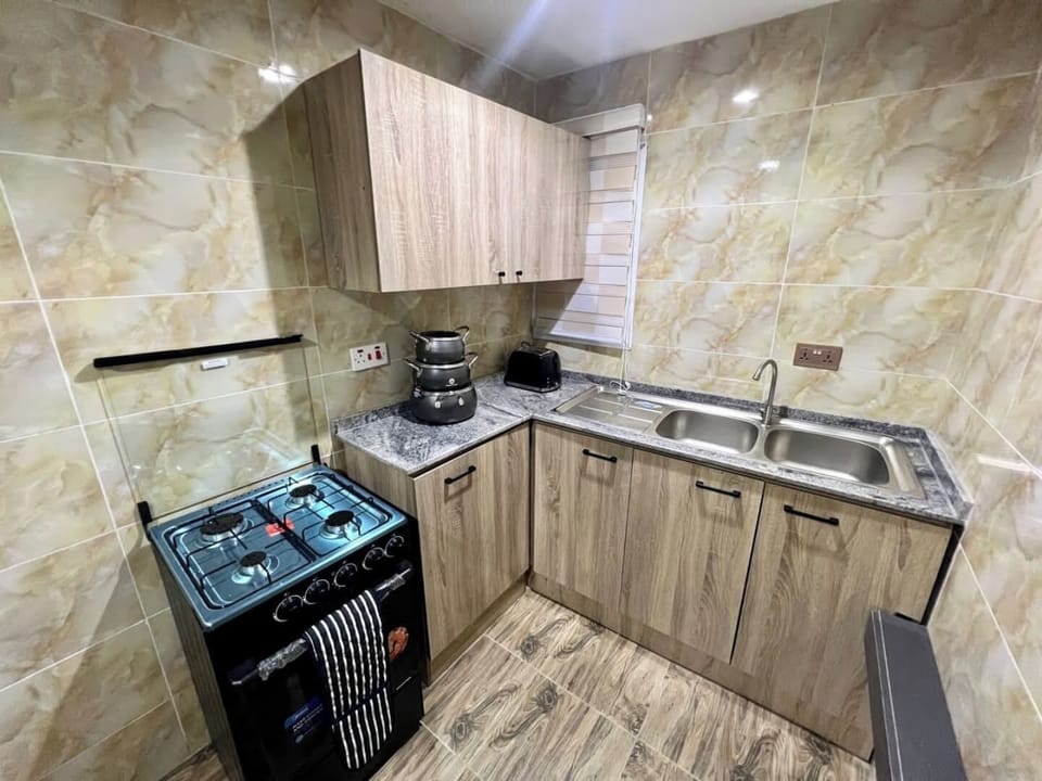 Deluxe Apartment, Balcony, City View | Private kitchen | Fridge, microwave, oven, stovetop