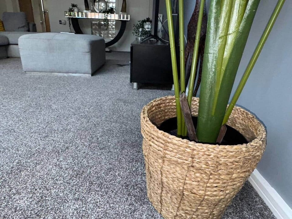 Living Room / Lounge