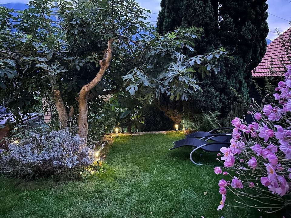 Secluded garden lounge with lake views – perfect for sunset drinks