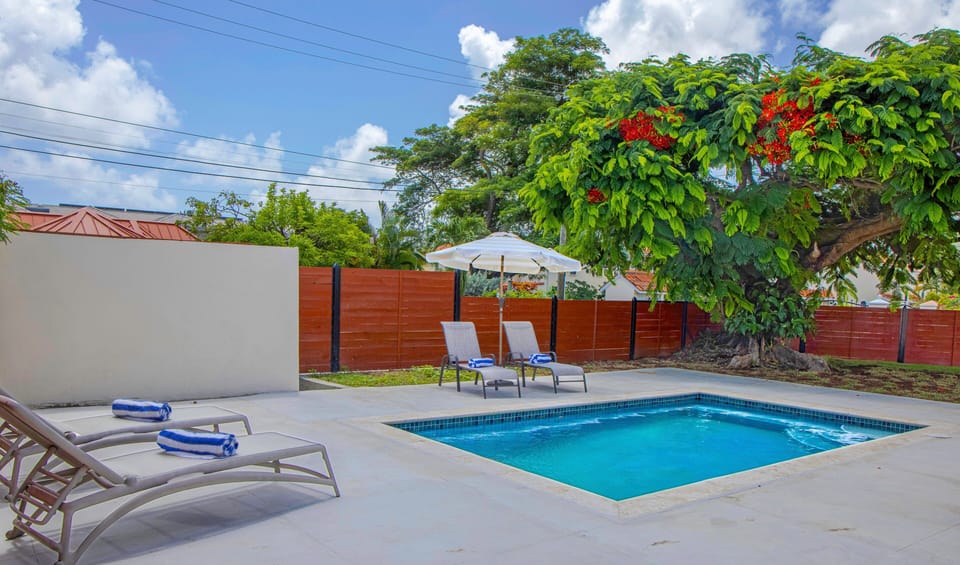 Pool with loungers and outdoor furniture
