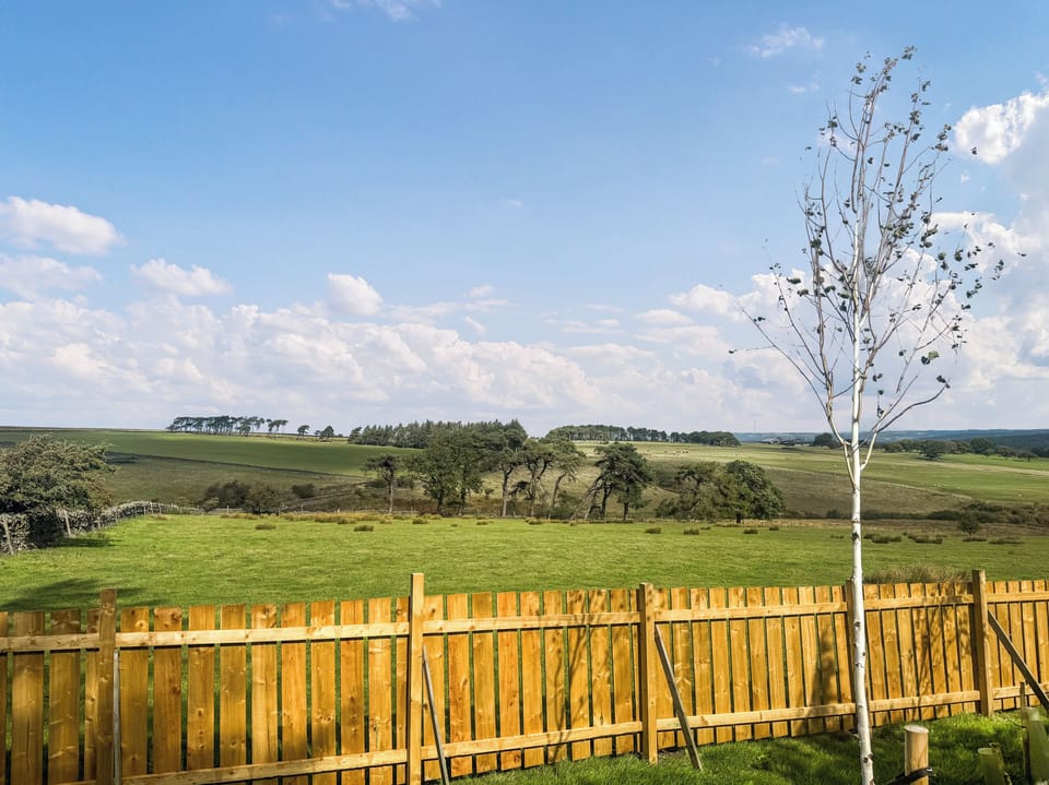 View | Emerald Pines - Lilswood Park, Hexham