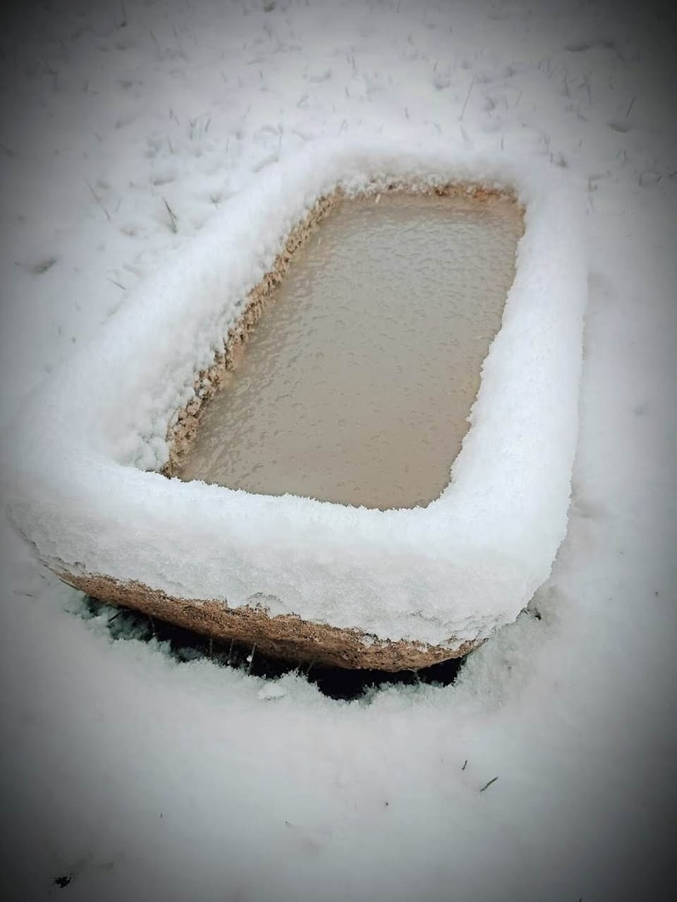 Et bien entendu, les paysages de neige que vous aurez peut-être la chance de trouver dans le Jura