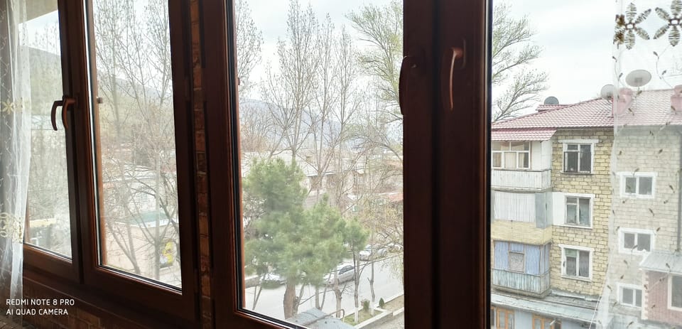 Land view from property