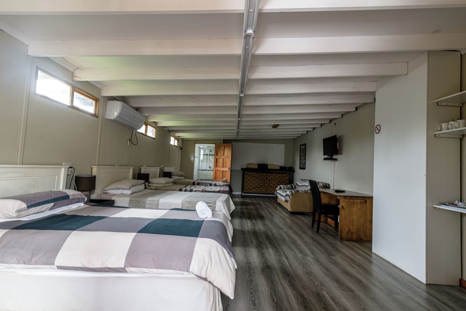 Basic Shared Dormitory | Iron/ironing board, free WiFi