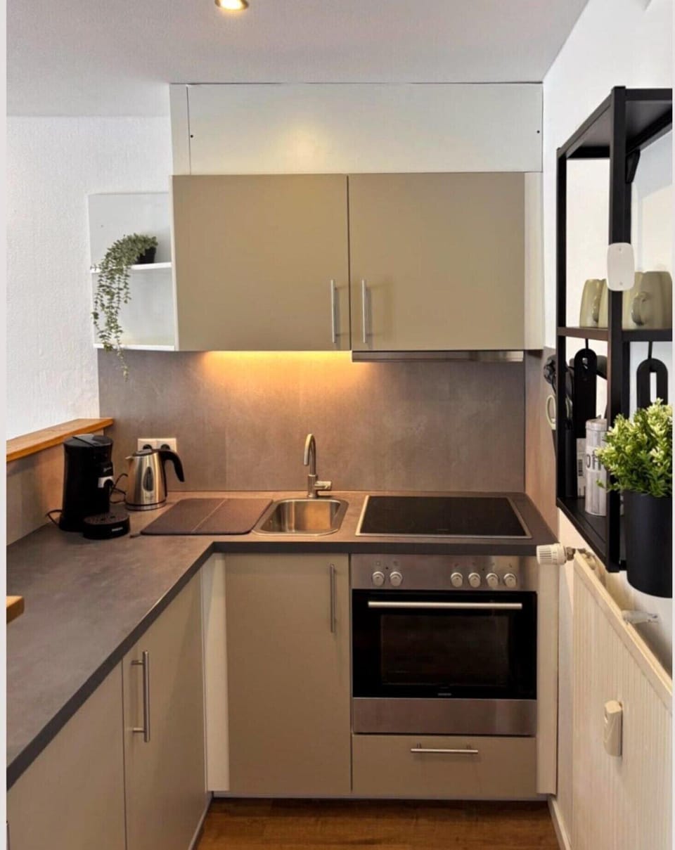 Apartment | Private kitchen