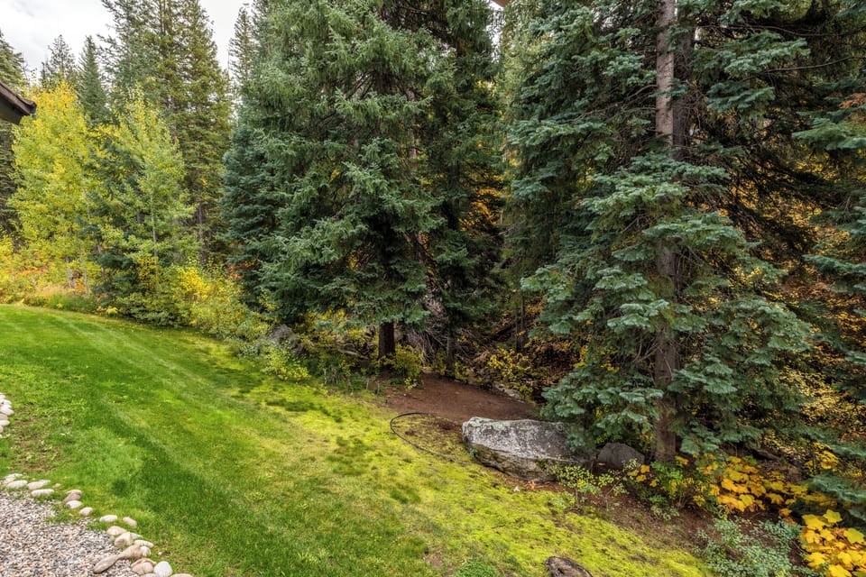 Winterwood