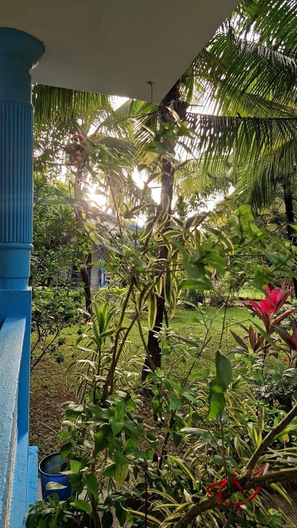Property grounds