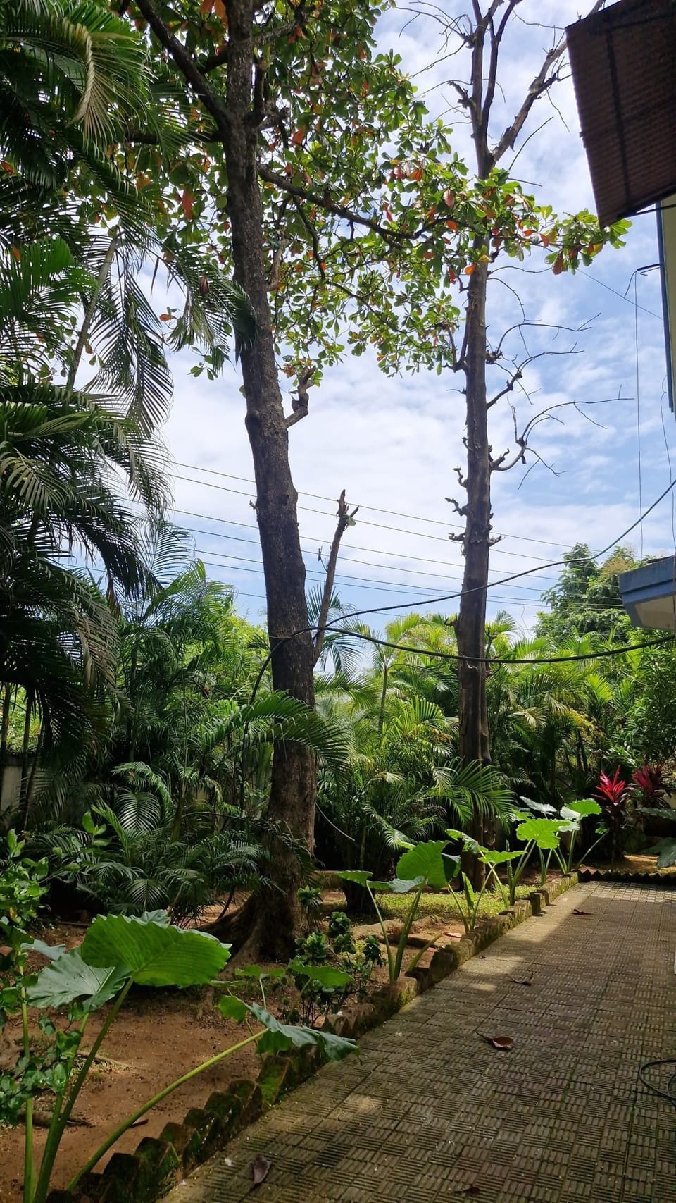 Property grounds