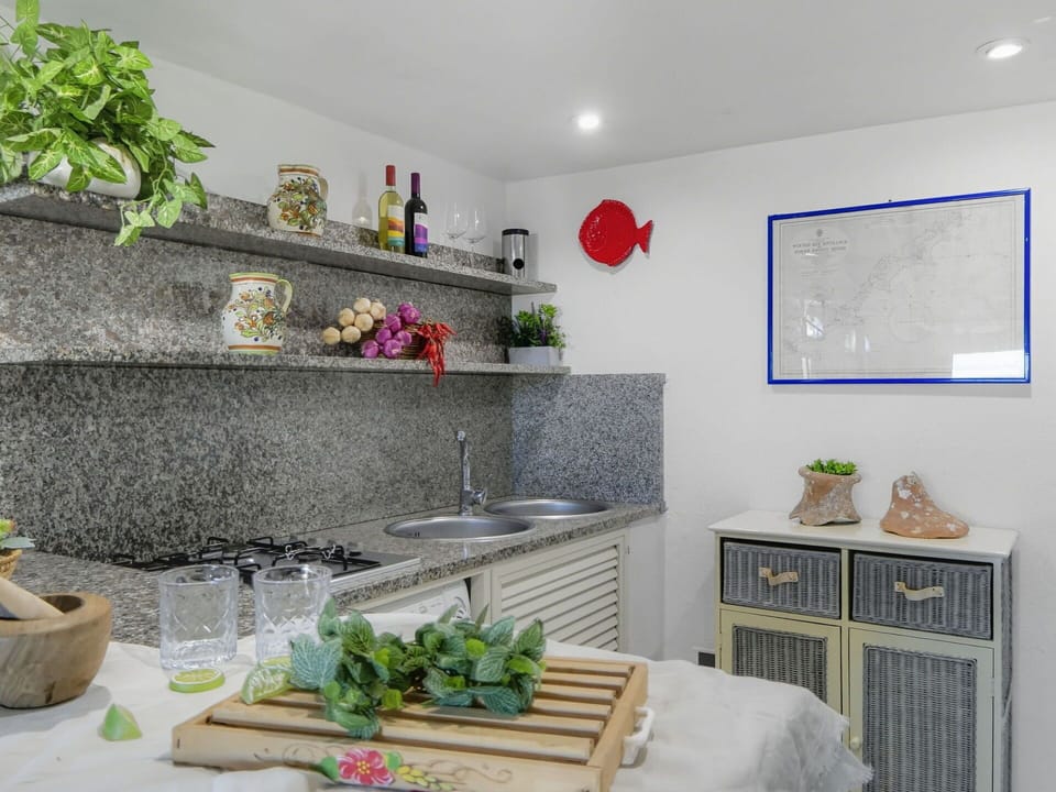 Interior Design, Furniture, Home, Countertop, Room, Houseplant, Kitchen, Flowerpot, Cabinetry, Natural Material