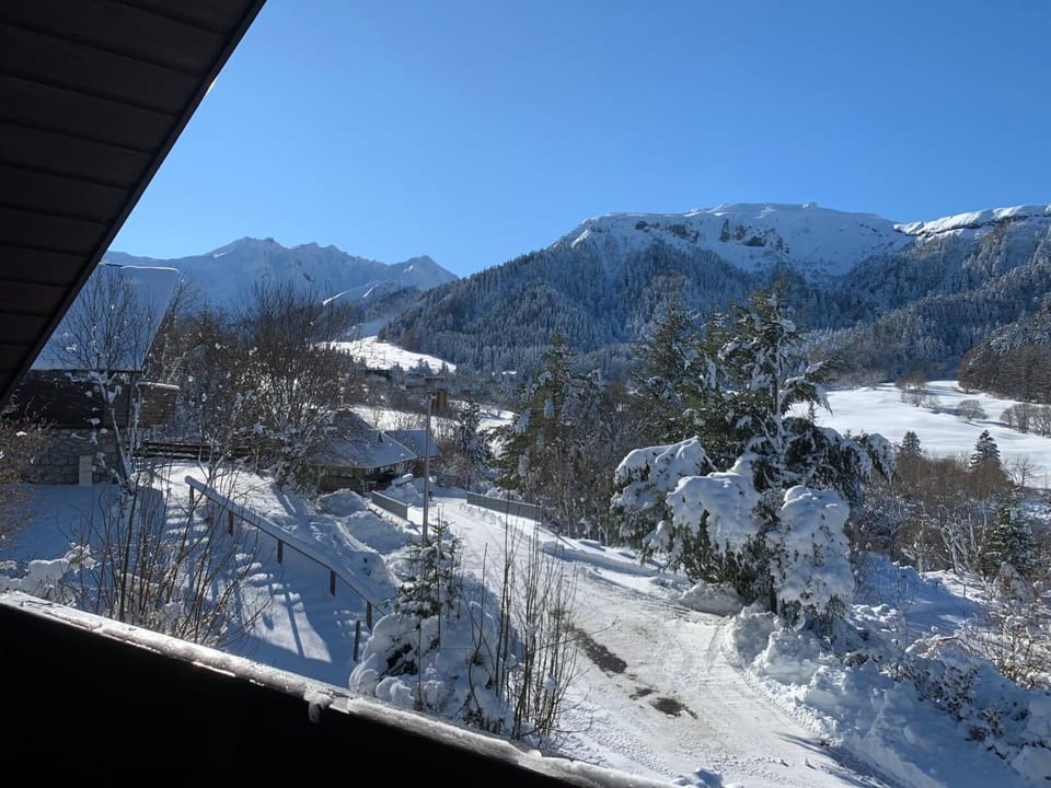 View from property
