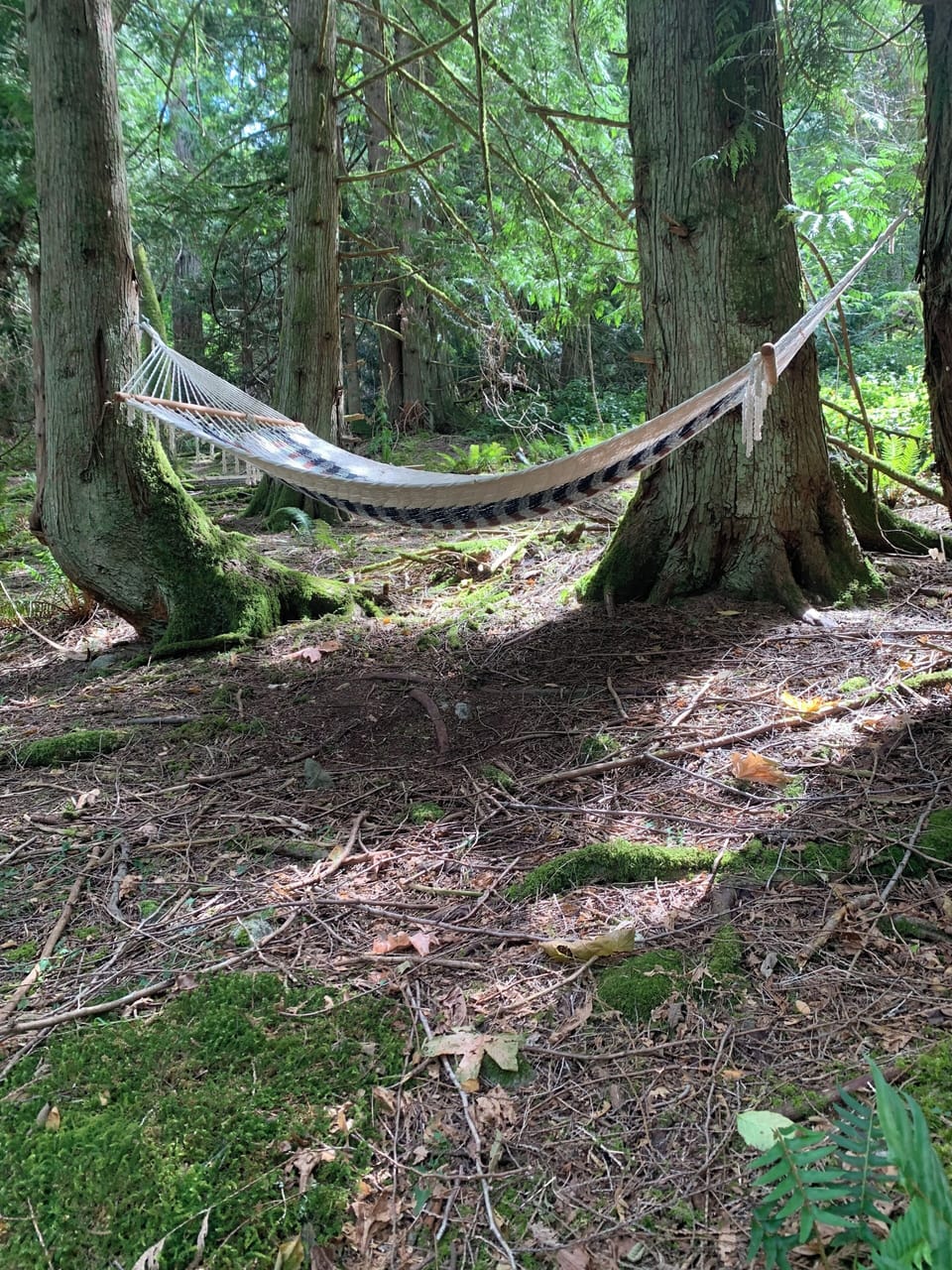 Relax to the sounds of nature two minutes out your door on the ten acre property