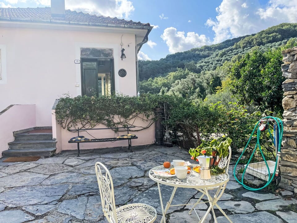 Furniture, Outdoor Furniture, Chair, Outdoor Table, Flagstone, Garden, Flowerpot, Houseplant, Backyard, Shade