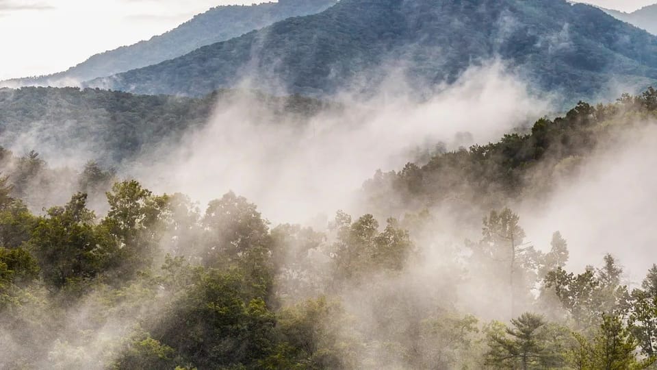 Mountain landscape with mist and forested hills in the distance.