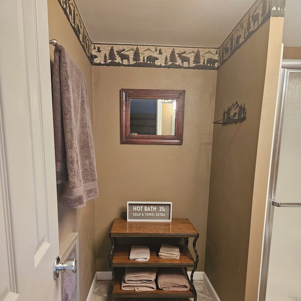 Downstairs bathroom, another view