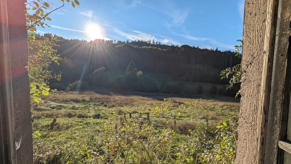 View from property