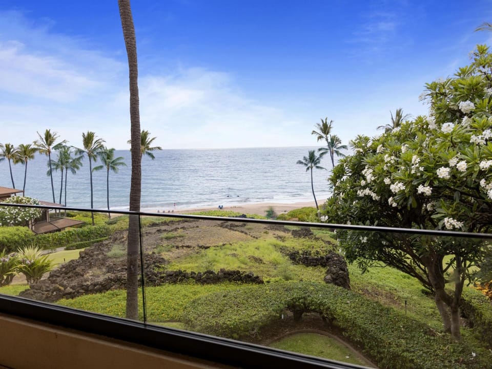 Lanai View