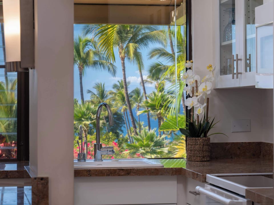 Kitchen View