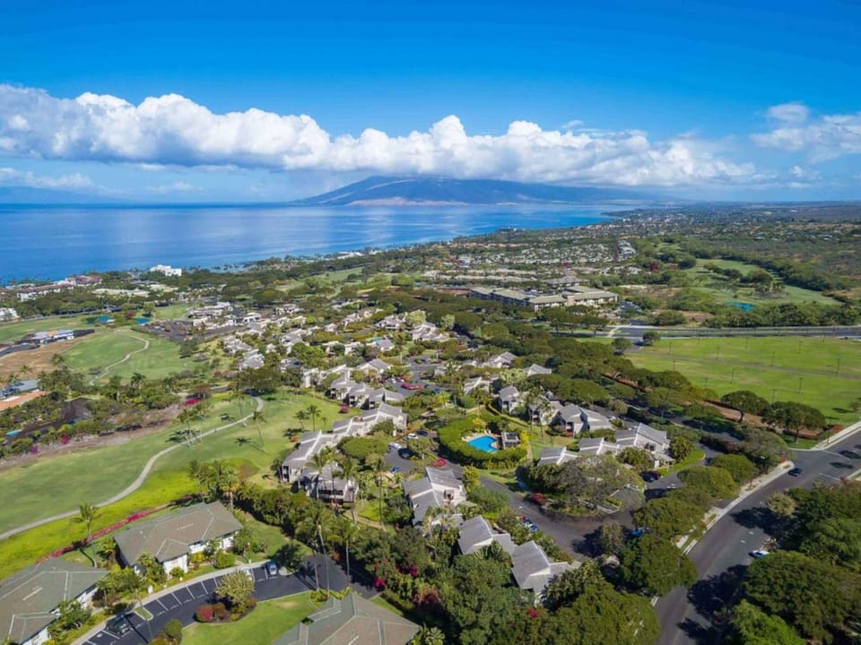 Located in the heart of Wailea minutes from golfing, shopping, restaurants, groceries, and the beach!