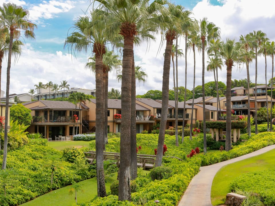 From towering palm trees to colorful hibiscus, plumeria, and bougainvillea, be sure to walk the grounds of Wailea Elua.,