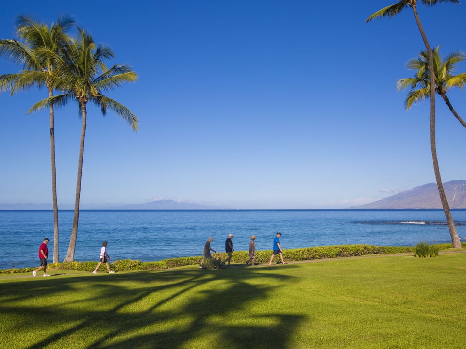 Start each morning with a gentle walk along the coastline with a coffee in hand. The Wailea Beach Walk is 3.2 miles roundtrip.