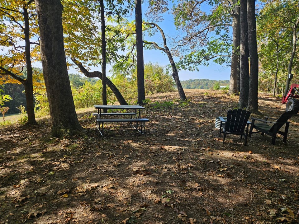 Take in the view