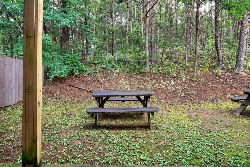 Grill, picnic, and unwind in this secluded outdoor nook tucked among the trees.