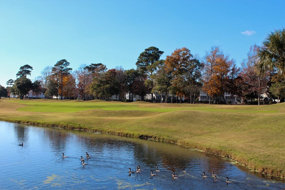 Surrounding Golfcourse