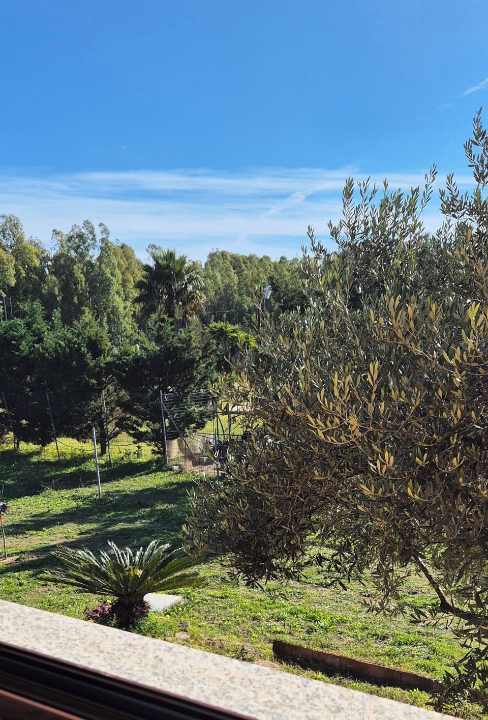 View from property