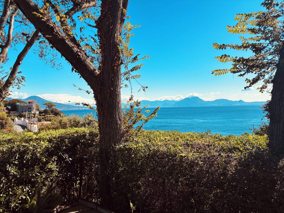 Miscellaneous