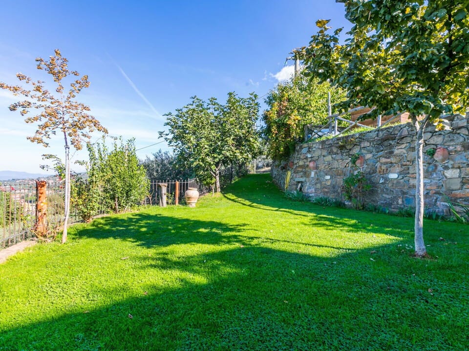 Green, Grass, Nature, Landscape, Grassland, Land Lot, Groundcover, Garden, Lawn, Meadow