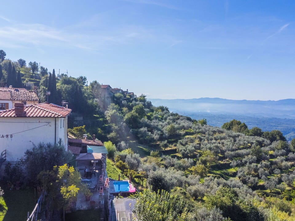 Vegetation, Hill, Landscape, Highland, Hill Station, Rural Area, Morning, Spring, Slope, Mountain Range