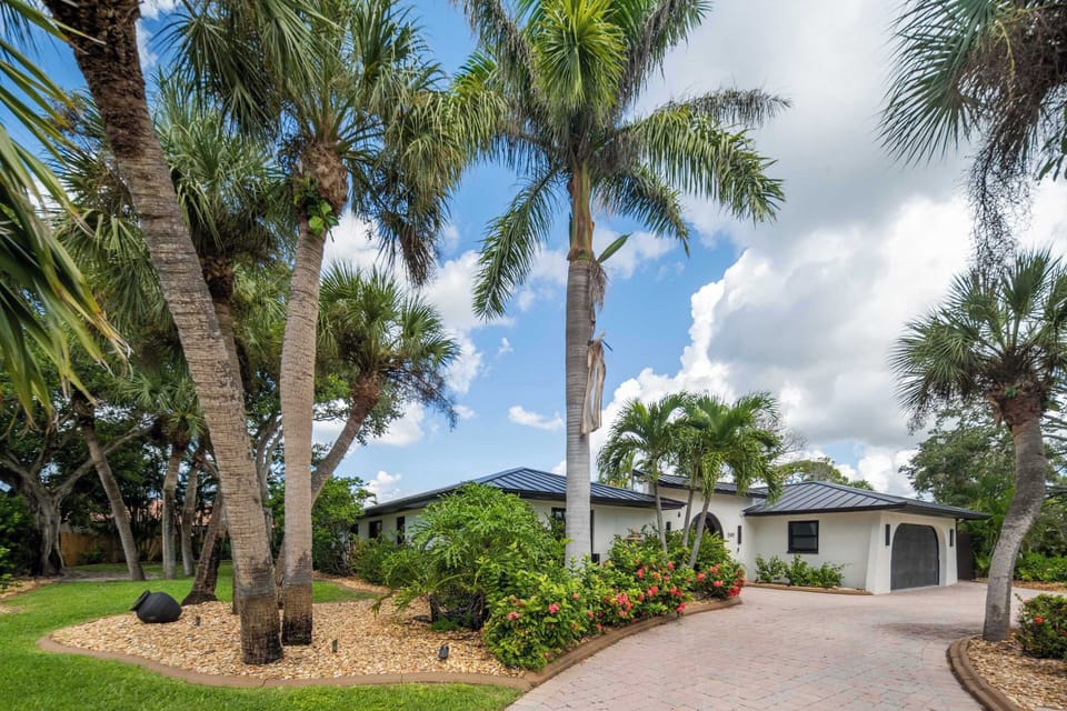 Tropical front yard with palm trees and spacious driveway