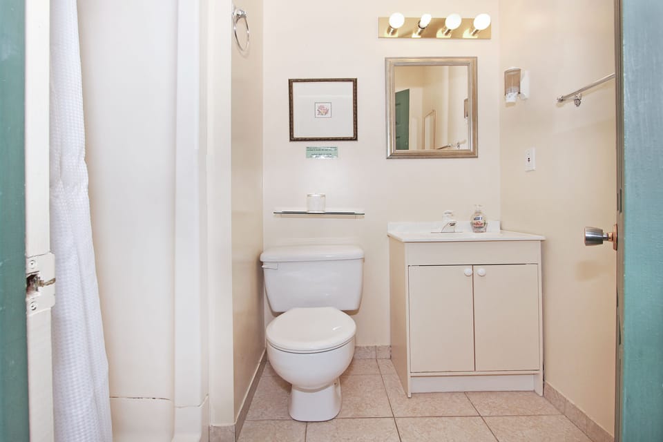 Comfort Room, 1 Queen Bed | Bathroom | Shower, hair dryer, towels