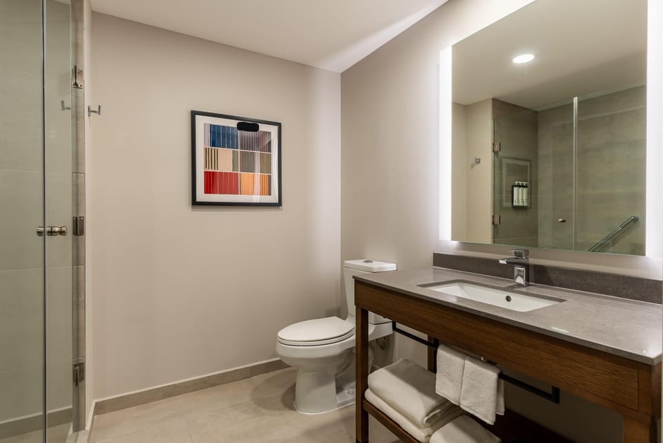 Hair dryer, towels, toilet paper