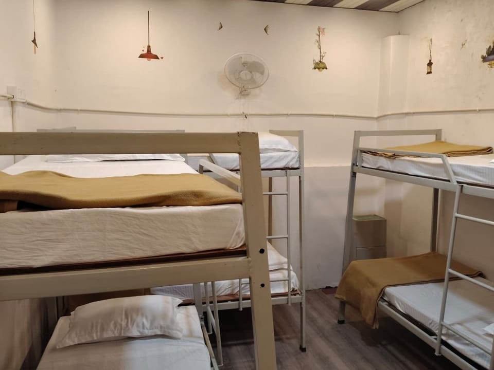 Shared Dormitory | Free WiFi