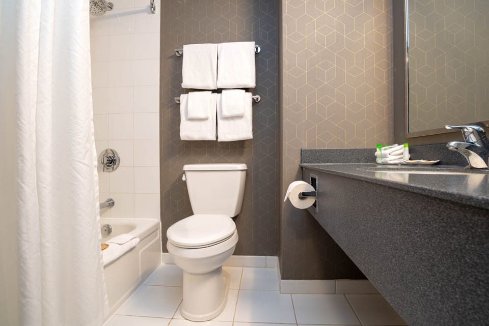 Combined shower/tub, free toiletries, hair dryer, towels