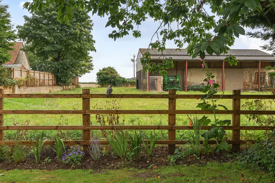 looking over garden fence