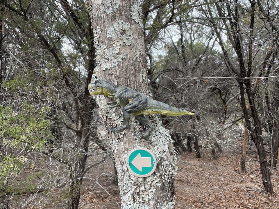 Go find the dinosaurs!