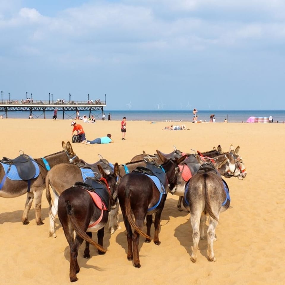 Seaside Caravan , Free Wifi , Pet Friendly Cabin in Skegness