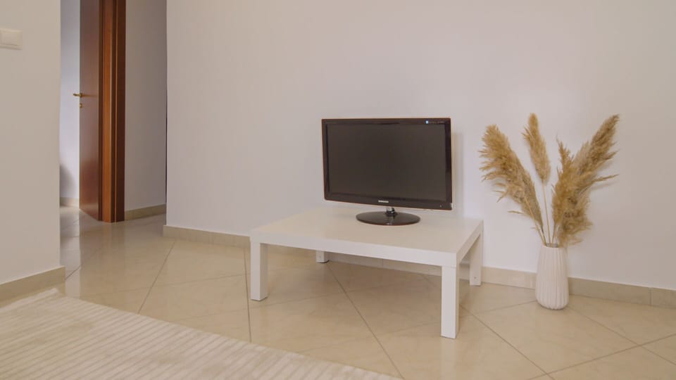 Television