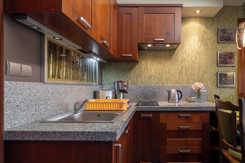 Apartment, Balcony, Mountain View | Private kitchenette | Electric kettle, toaster