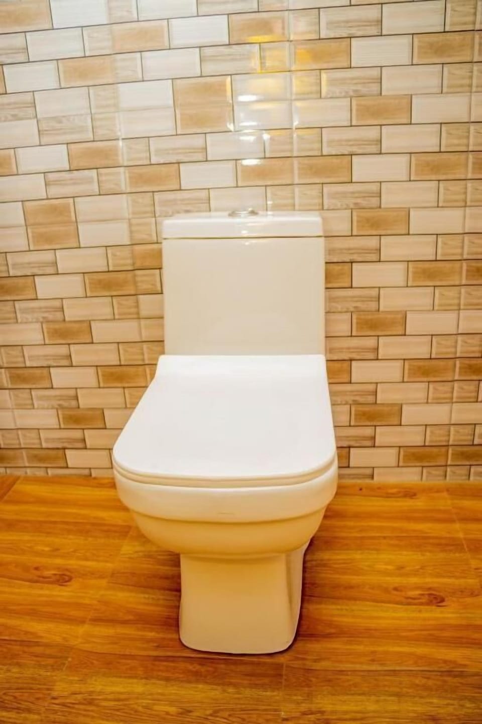 Raised toilet seat