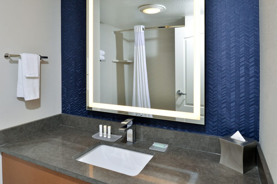 Combined shower/tub, free toiletries, hair dryer, towels