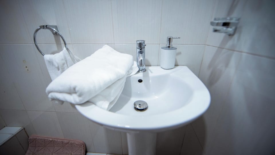 Standard Double Room | Bathroom | Shower, towels, soap, toilet paper