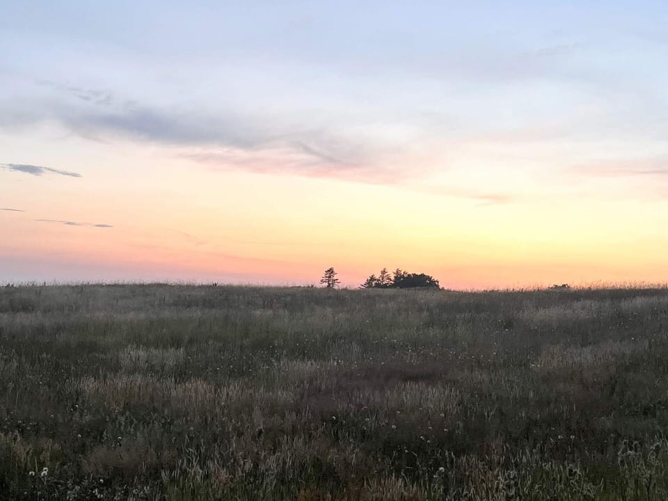 House | View from property