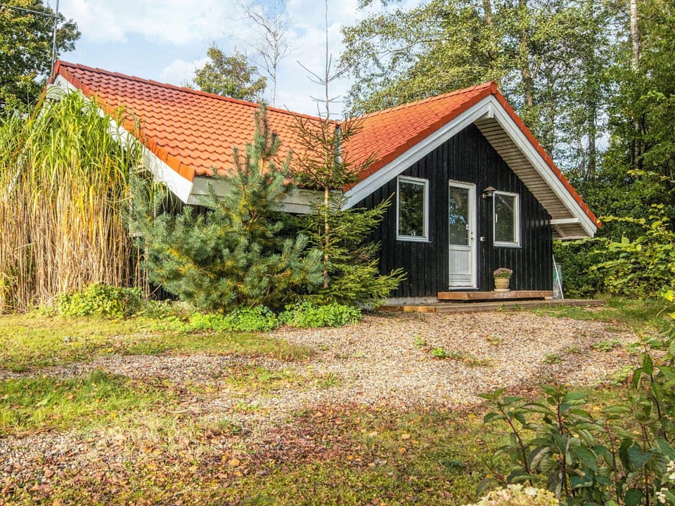 House | View from property